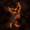 Megan Hinde's Profile Image