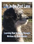 Life in the Past Lane - Learning How to Focus Forward's Book Image