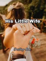 His Little Wife's Book Image