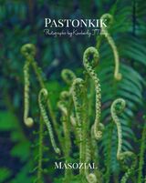 Pastonkik: Masozial's Book Image
