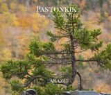 Pastonkik: Abazi's Book Image