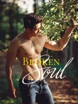 Broken Soul's Book Image