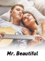 Mr. Beautiful's Book Image