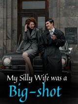 My Silly Wife was a Big-shot's Book Image