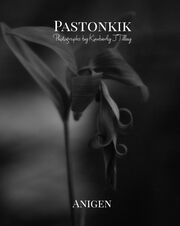 Pastonkik: Anigen's Book Image