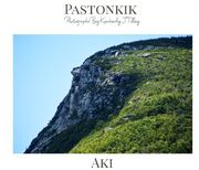 Pastonkik: Aki's Book Image