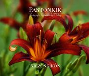 Pastonkik: Nbizonkikôn's Book Image