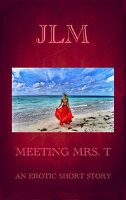 Meeting Mrs. T: An Erotic Short Story's Book Image