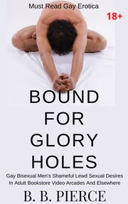 Bound For Glory Holes: Gay Bisexual Men's Shameful Lewd Sexual Desires In Adult Bookstore Video Arcades And Elsewhere's Book Image