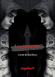 Cœur de Bad Boys: Les jumeaux's Book Image