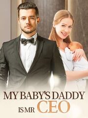 My Baby's Daddy Is Mr CEO's Book Image