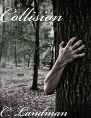 Collision's Book Image