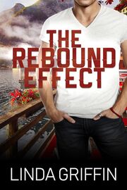 The Rebound Effect's Book Image