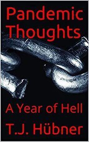 Pandemic Thoughts (A Year of Hell)'s Book Image