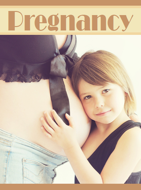 Pregnancy Ebook's Book Image