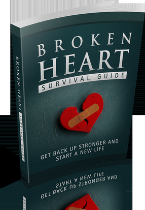 Broken Heart Survival Guide's Book Image