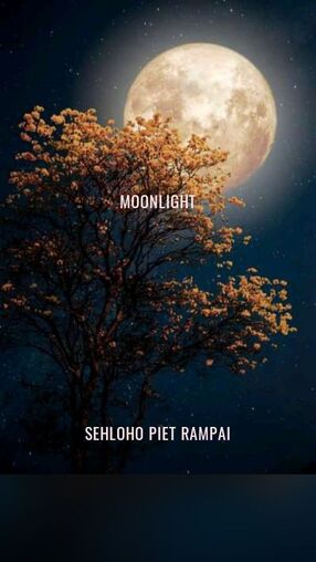 Moonlight's Book Image
