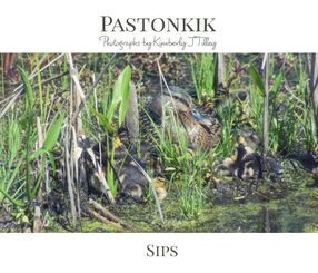 Pastonkik: Sips's Book Image