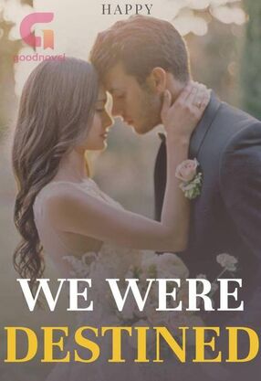 WE WERE DESTINED's Book Image