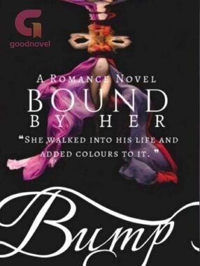 Bound by her bump's Book Image