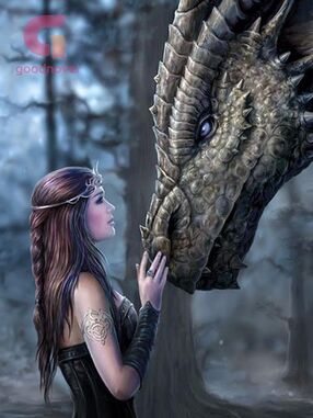 Captured By The Dragon's Book Image