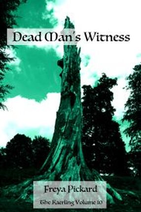 Dead Man's Witness's Book Image