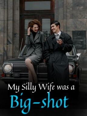 My Silly Wife was a Big-shot's Book Image