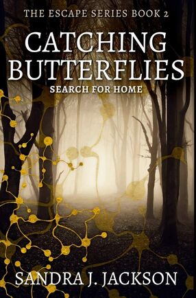 Catching Butterflies's Book Image
