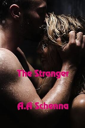 The Stranger's Book Image