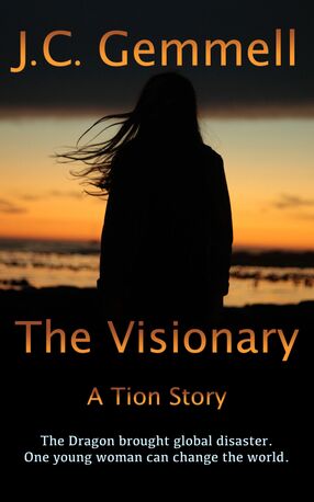 The Visionary's Book Image