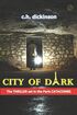 City of Dark's Book Image