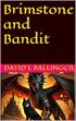 Brimstone and Bandit's Book Image
