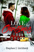 Love for Christmas's Book Image