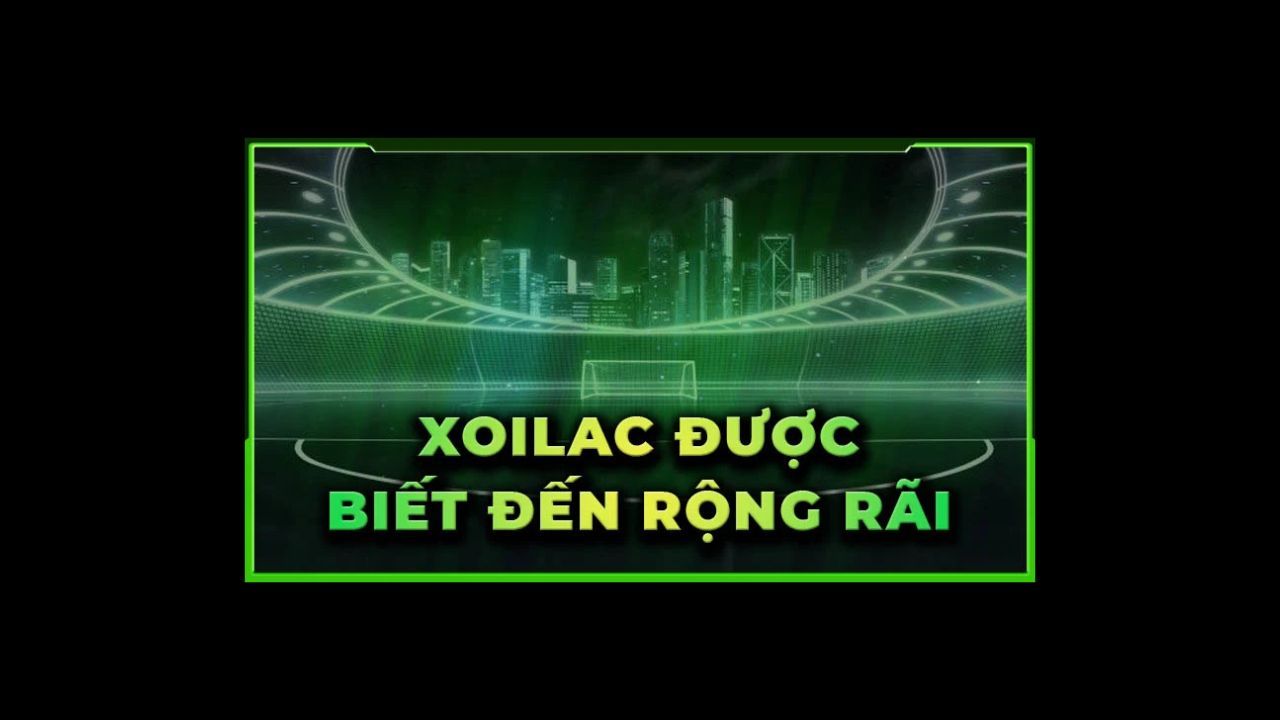 xoilactvnvzcc gia mao's Cover Image