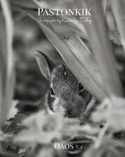 Kimberly Tilley's Post Image