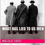 Malulu Yako's Post Image