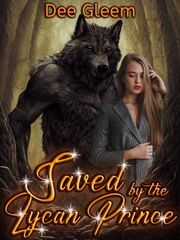Novel Lover's Post Image