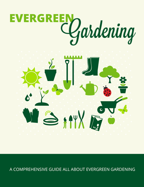 Evergreen Gardening (A Comprehensive Guide All About Evergreen Gardening) Ebook's Book Image