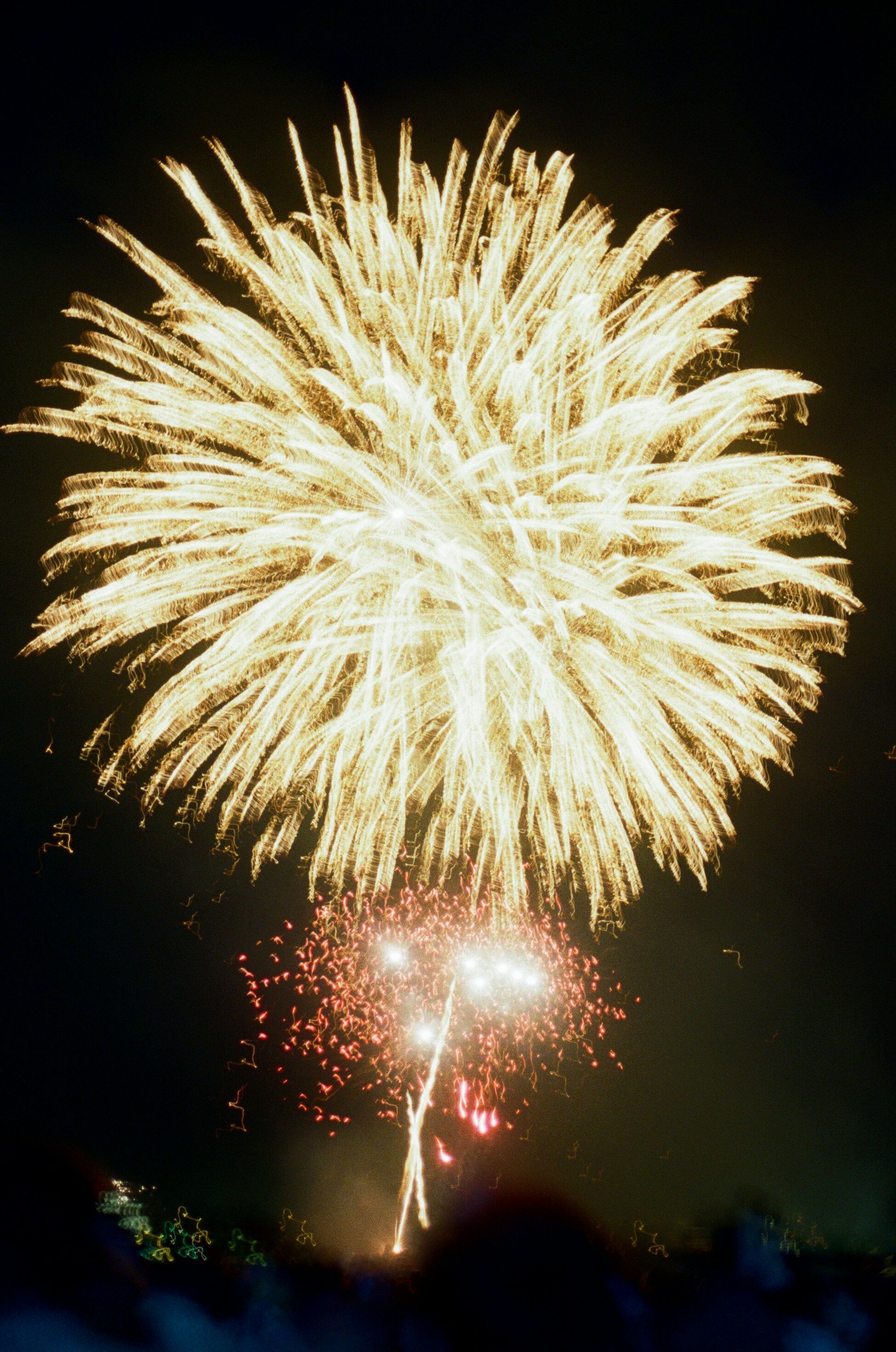 Test Test's Post Image