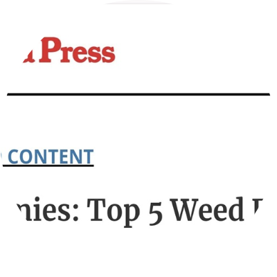 THC Gummies's Profile Image