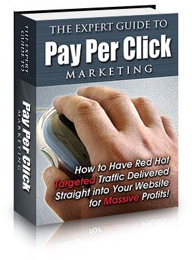 The Expert Guide to Pay Per Click Marketing's Book Image