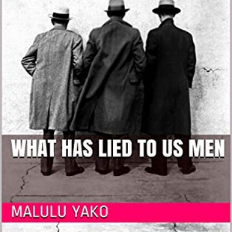 What has lied to us men's Book Image