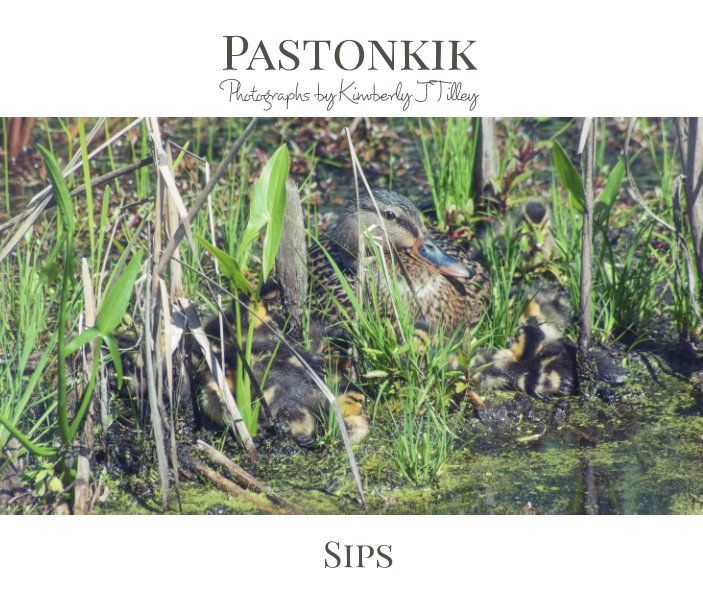Pastonkik: Sips's Book Image