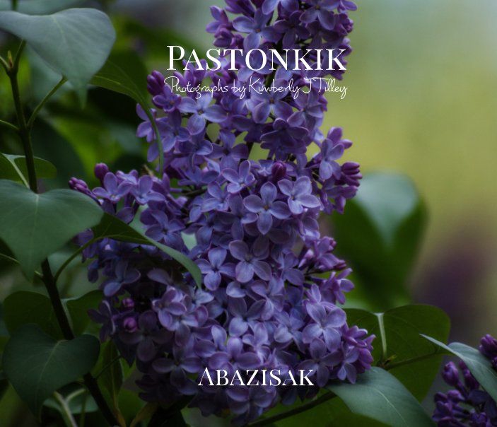 Pastonkik: Abazisak's Book Image