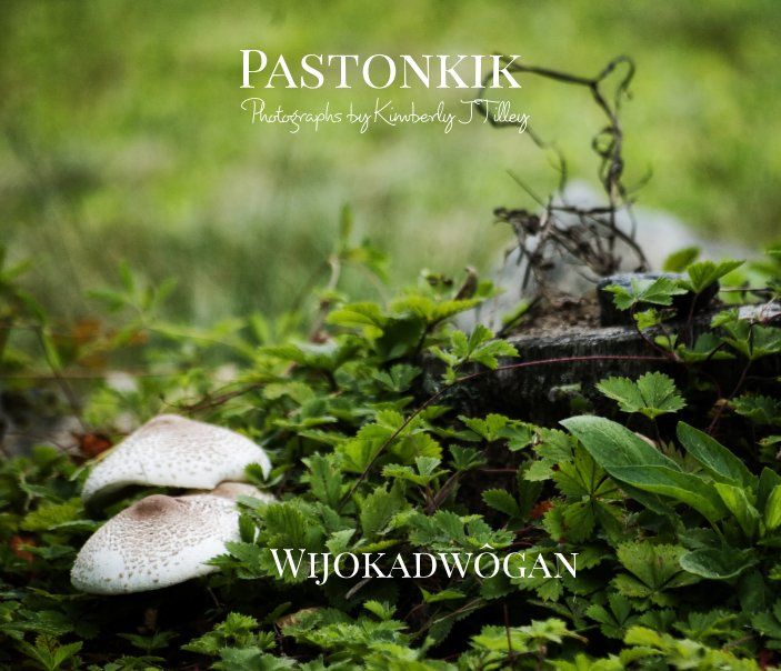 Pastonkik: Wijokadwôgan's Book Image