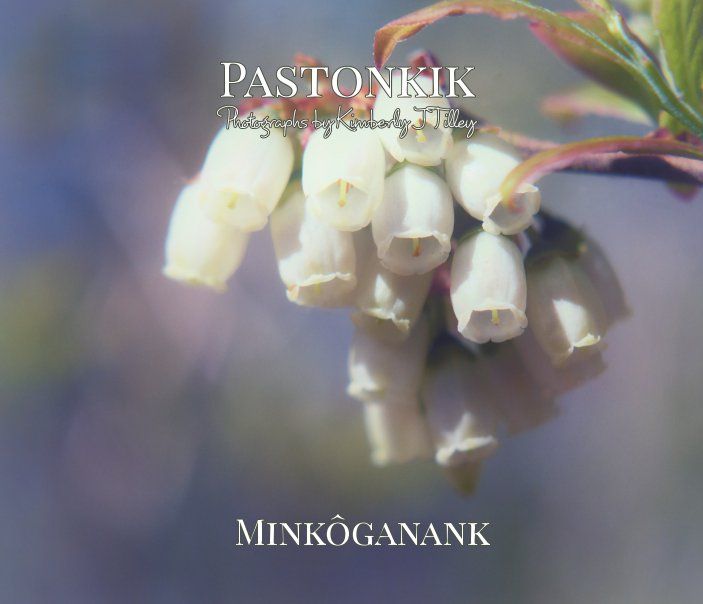 Pastonkik: Minkôganank's Book Image