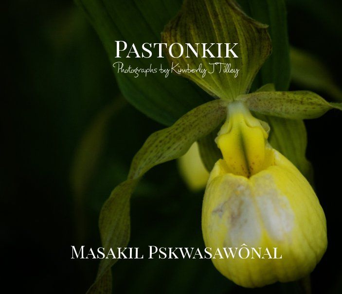Pastonkik: Masakil Pskwasawônal's Book Image