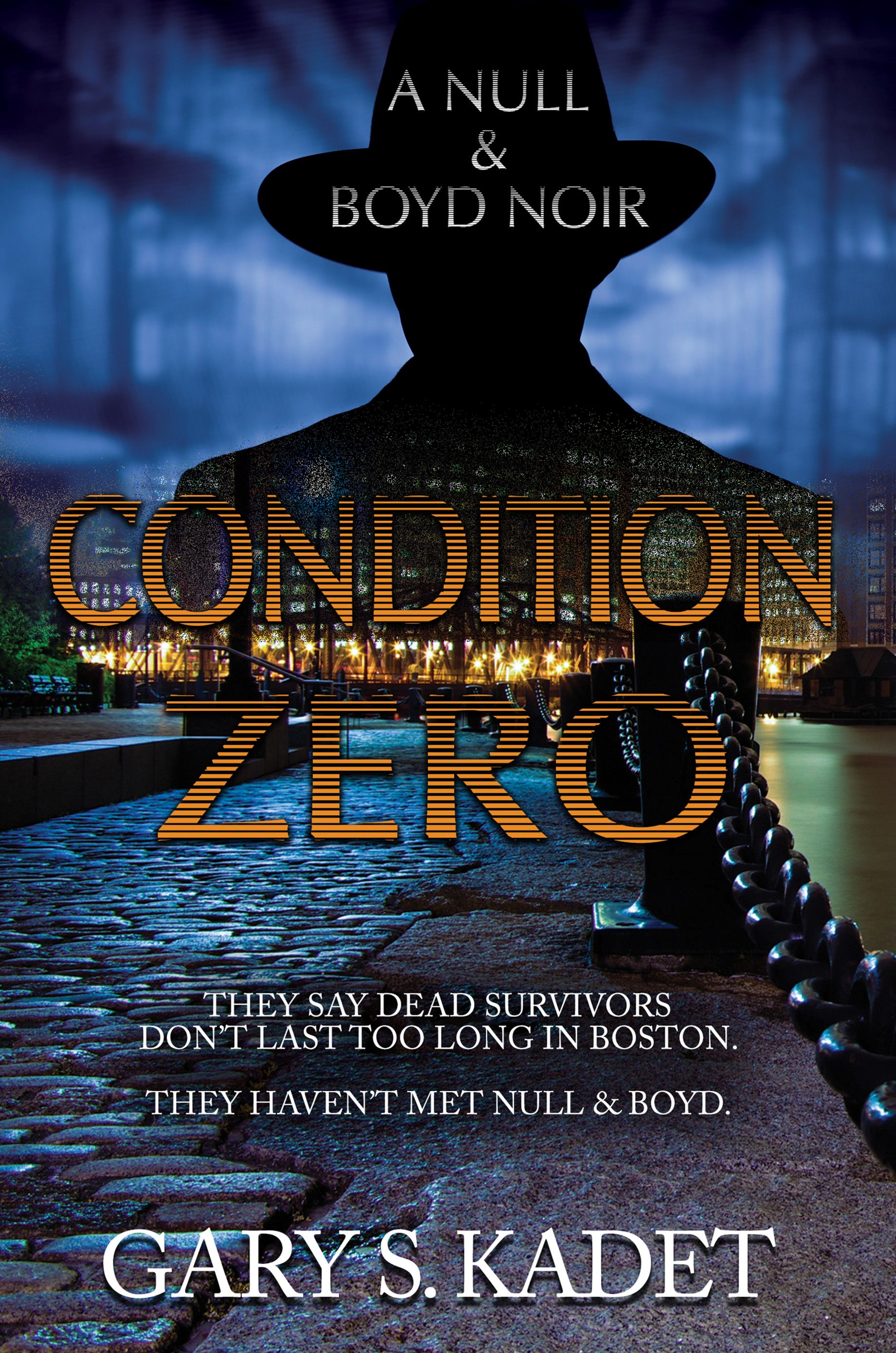 "Condition Zero"'s Book Image