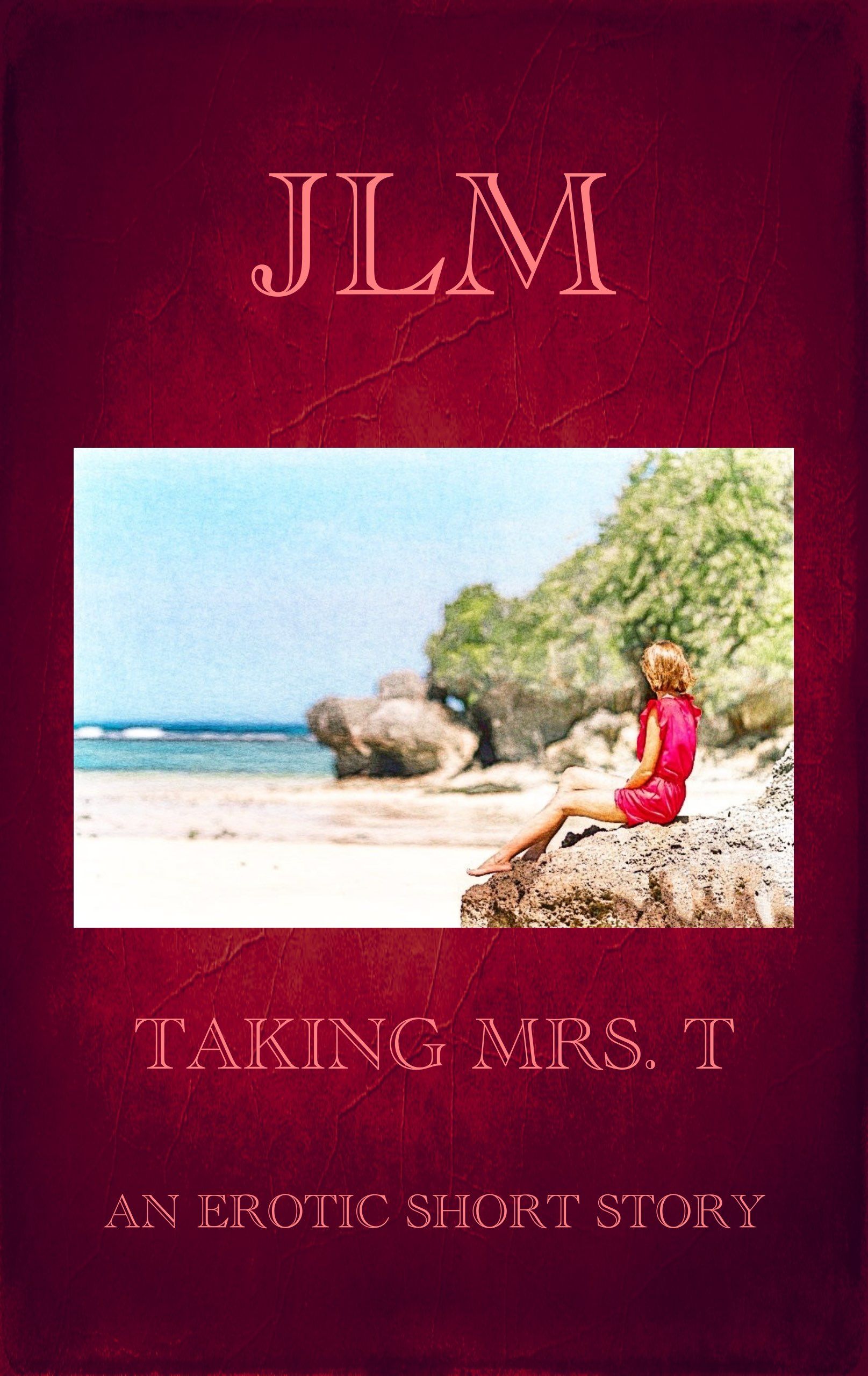 Taking Mrs. T: An Erotic Short Story's Book Image