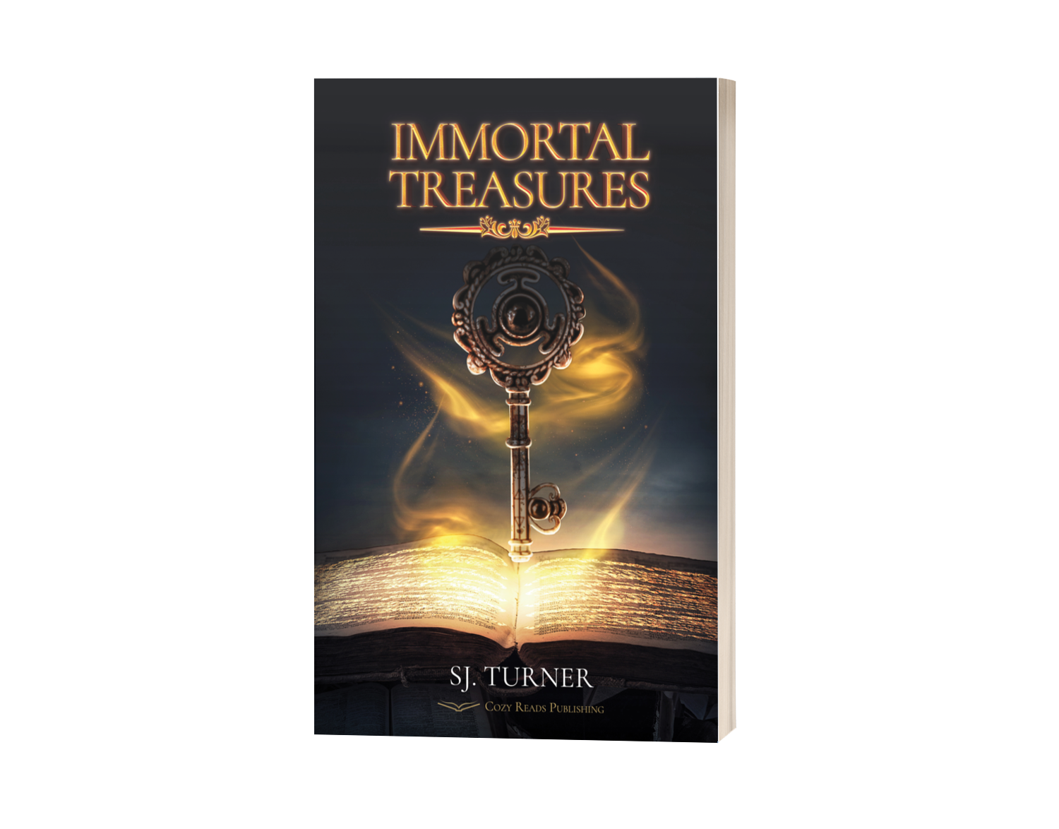 Immortal Treasures's Book Image